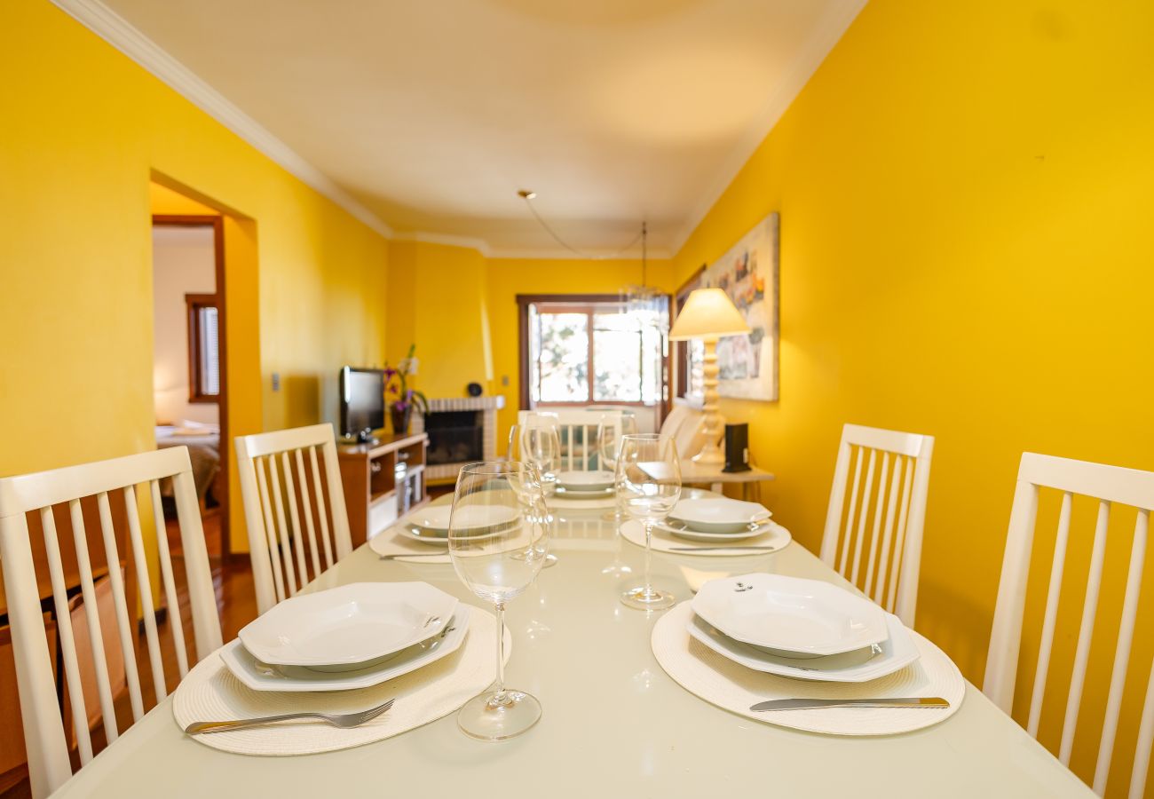 Apartamento em Gramado - 1D aconchegante com vista para o vale, 1,5km da R Coberta