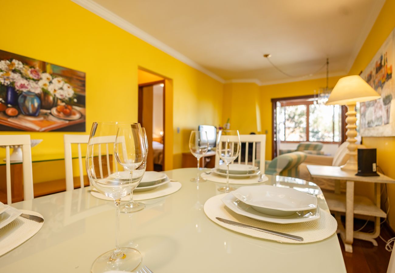 Apartamento em Gramado - 1D aconchegante com vista para o vale, 1,5km da R Coberta