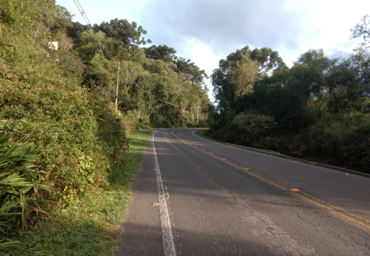 Fazenda em Canela - Área na Estrada do Caracol REF 539534