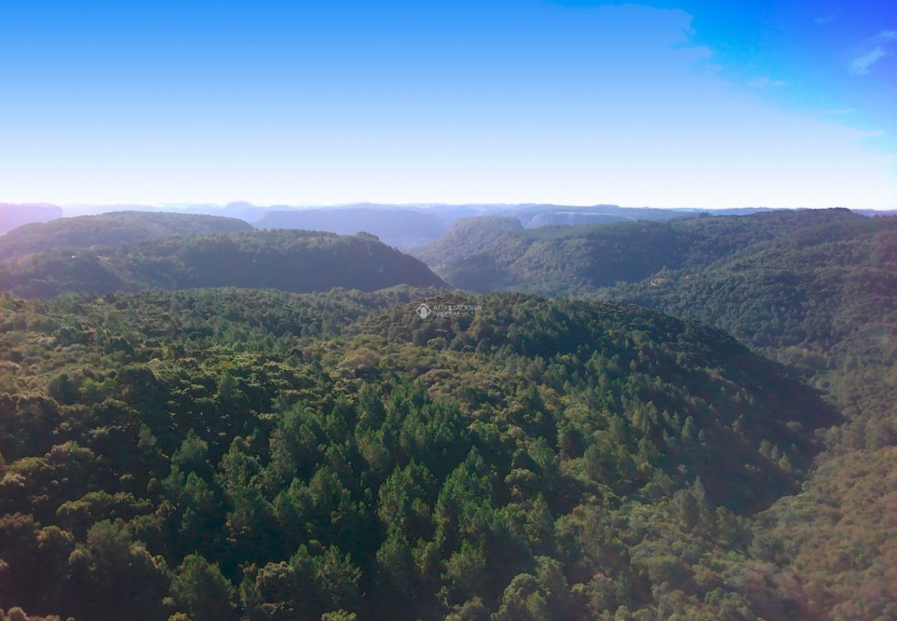 Fazenda em Gramado - Área na Várzea Grande REF 539729