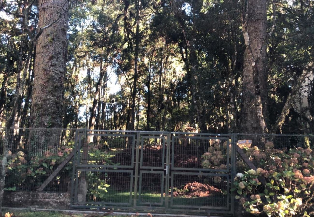 Fazenda em Canela - Terreno na Vila Suzana REF 541147