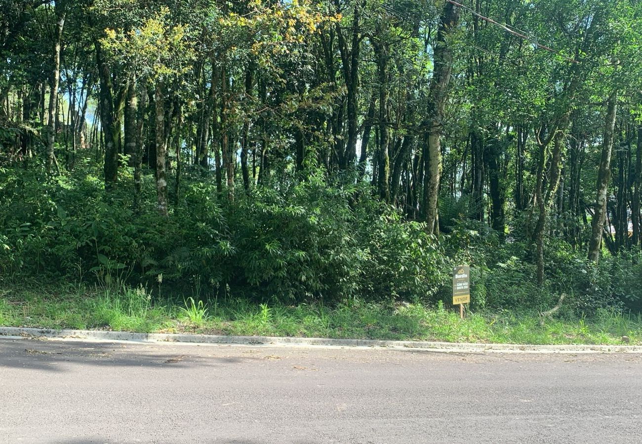 Fazenda em Gramado - Terreno à venda Vivendas do Parque  REF 558660