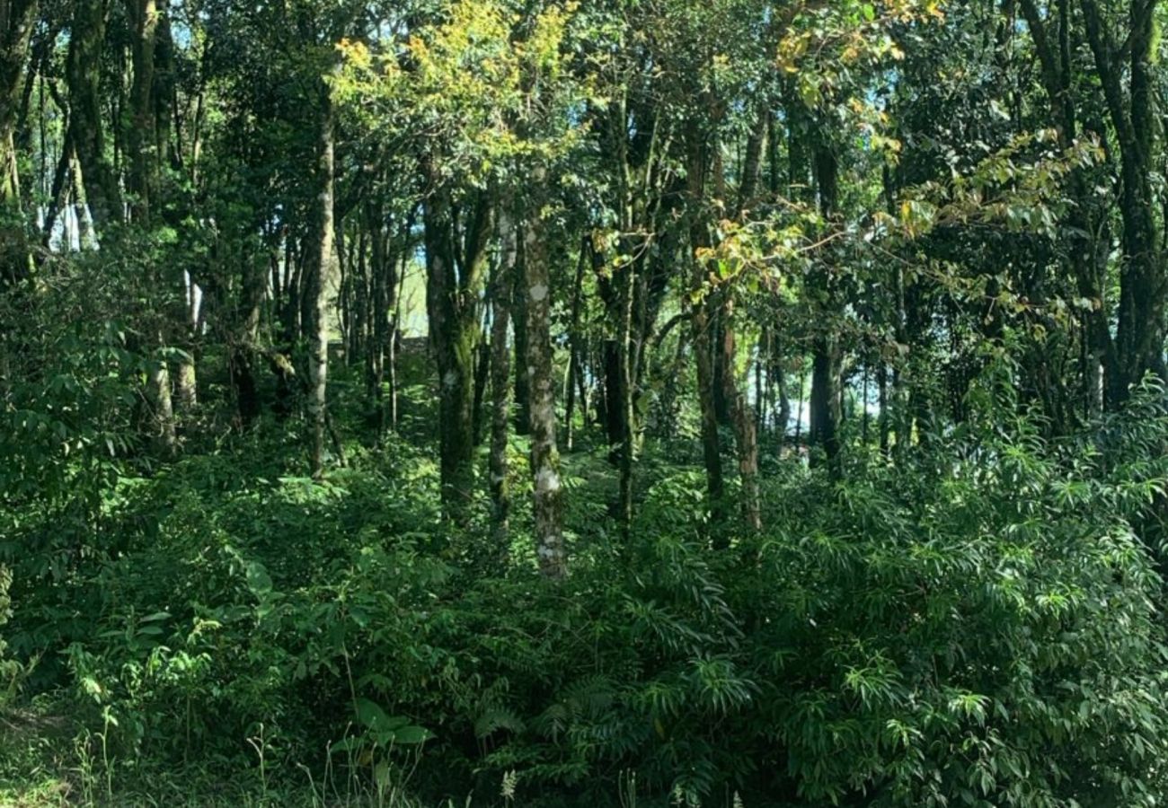 Fazenda em Gramado - Terreno à venda Vivendas do Parque  REF 558660