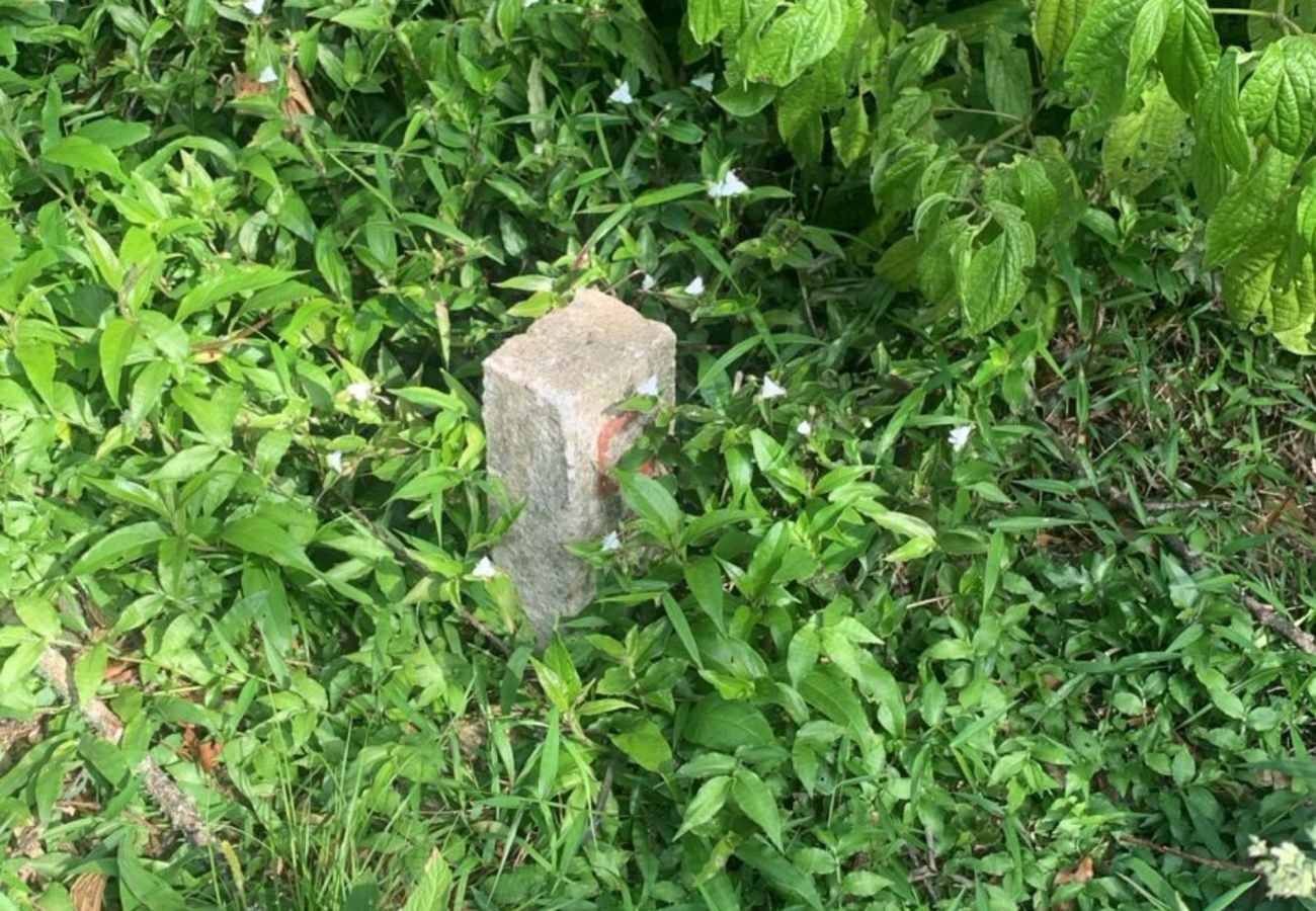 Fazenda em Gramado - Terreno à venda Vivendas do Parque  REF 558660