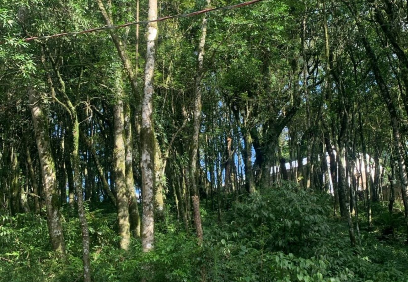 Fazenda em Gramado - Terreno à venda Vivendas do Parque  REF 558660