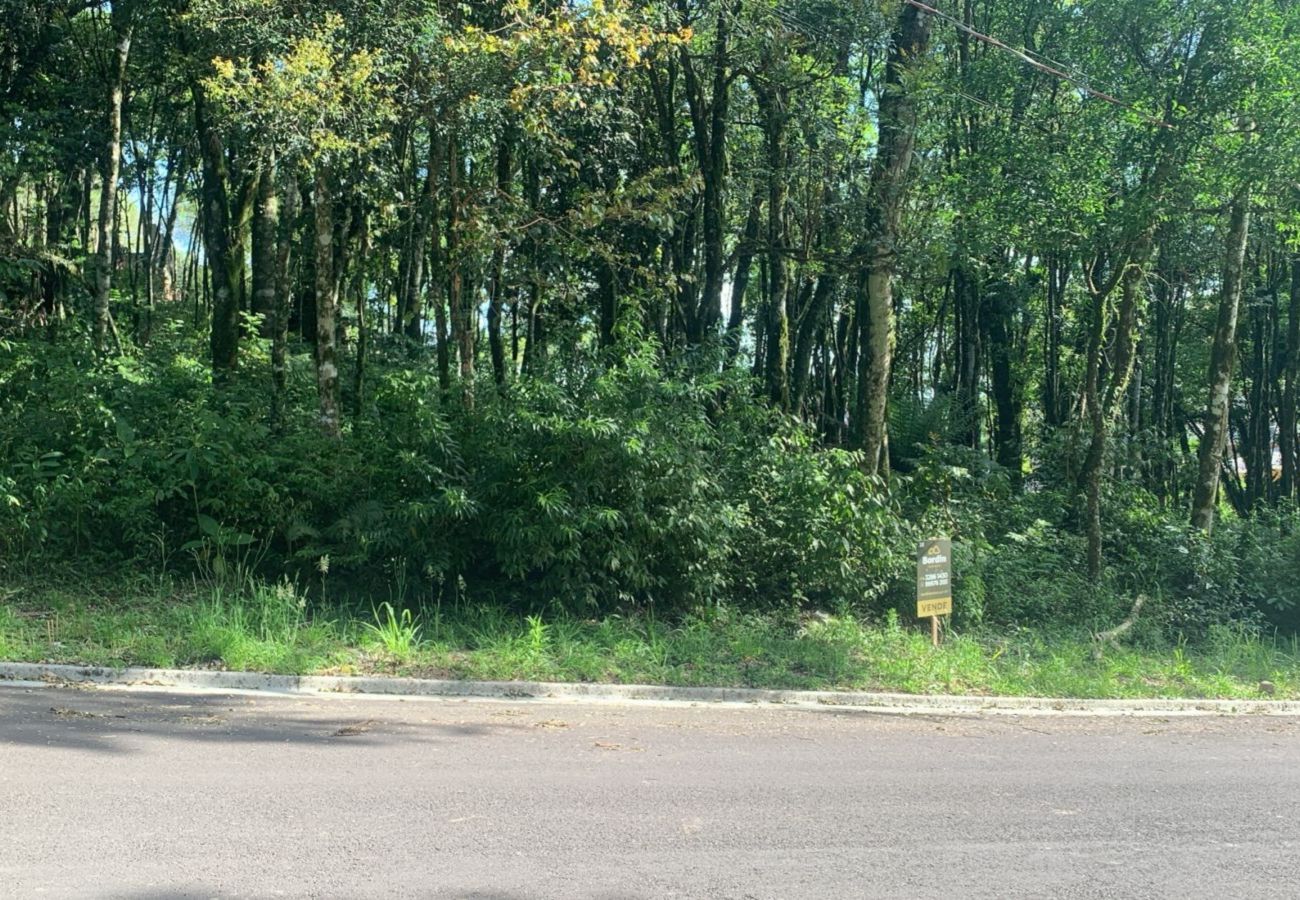 Fazenda em Gramado - Terreno à venda Vivendas do Parque  REF 558660