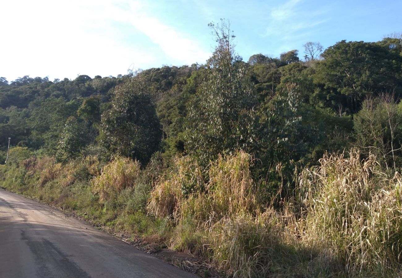Fazenda em Gramado - ÁREA DE TERRAS LINHA BOA VISTA DO HERVAL  REF 5607