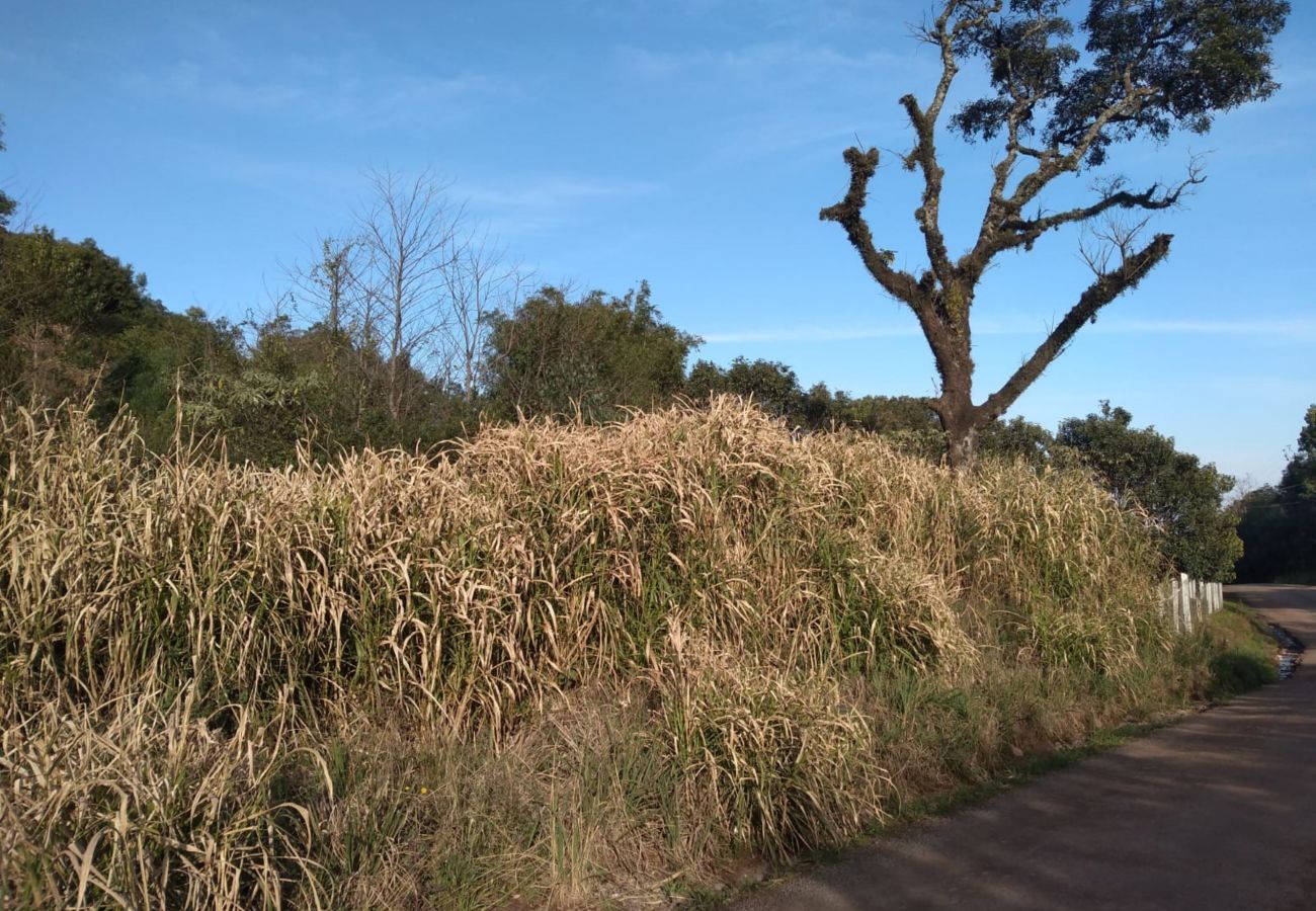 Fazenda em Gramado - ÁREA DE TERRAS LINHA BOA VISTA DO HERVAL  REF 5607