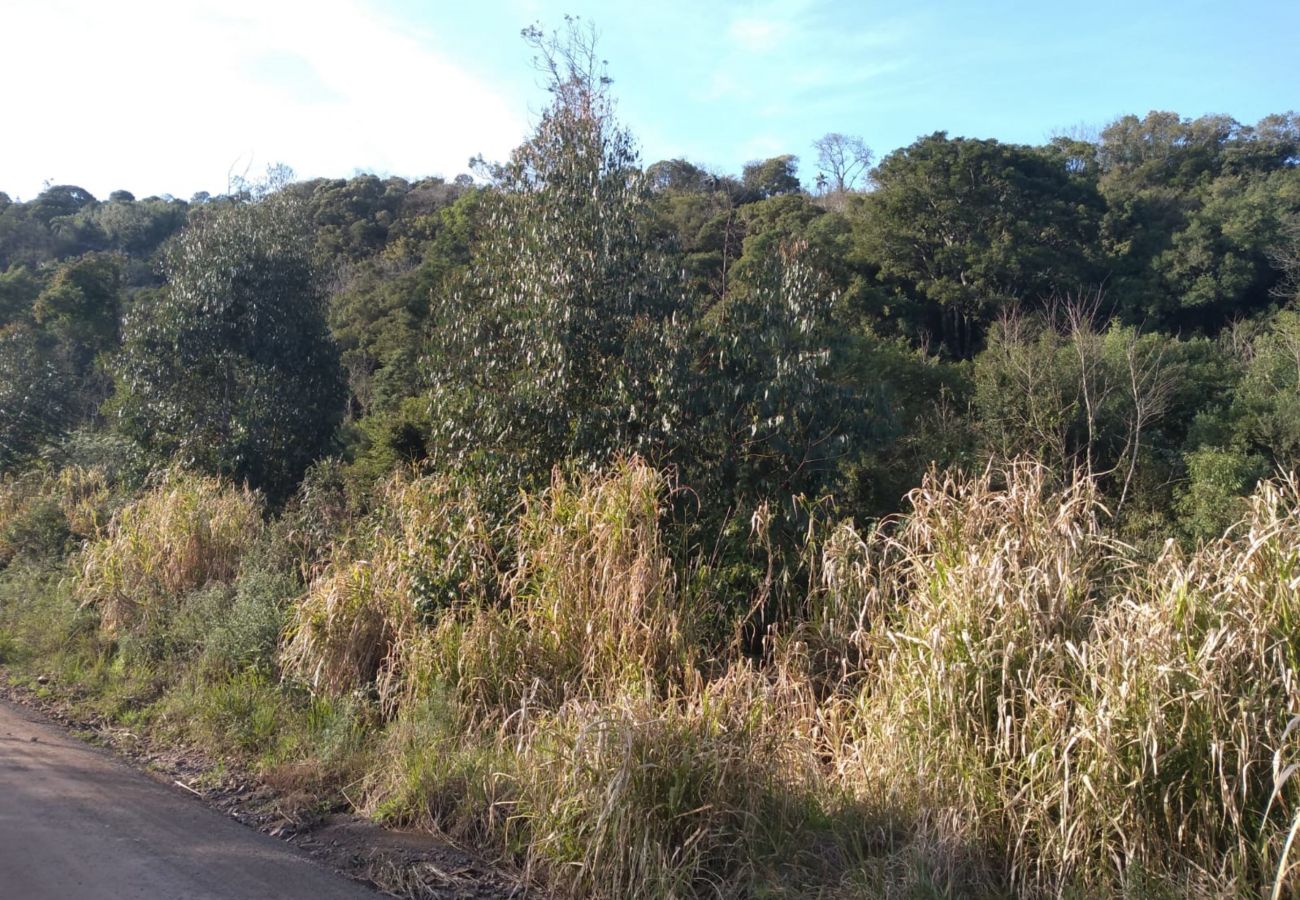 Fazenda em Gramado - ÁREA DE TERRAS LINHA BOA VISTA DO HERVAL  REF 5607