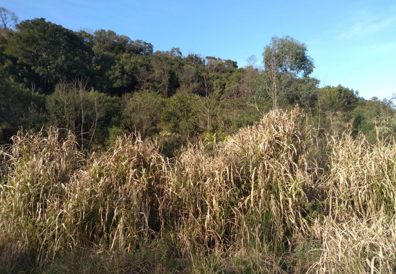 Fazenda em Gramado - ÁREA DE TERRAS LINHA BOA VISTA DO HERVAL  REF 5607