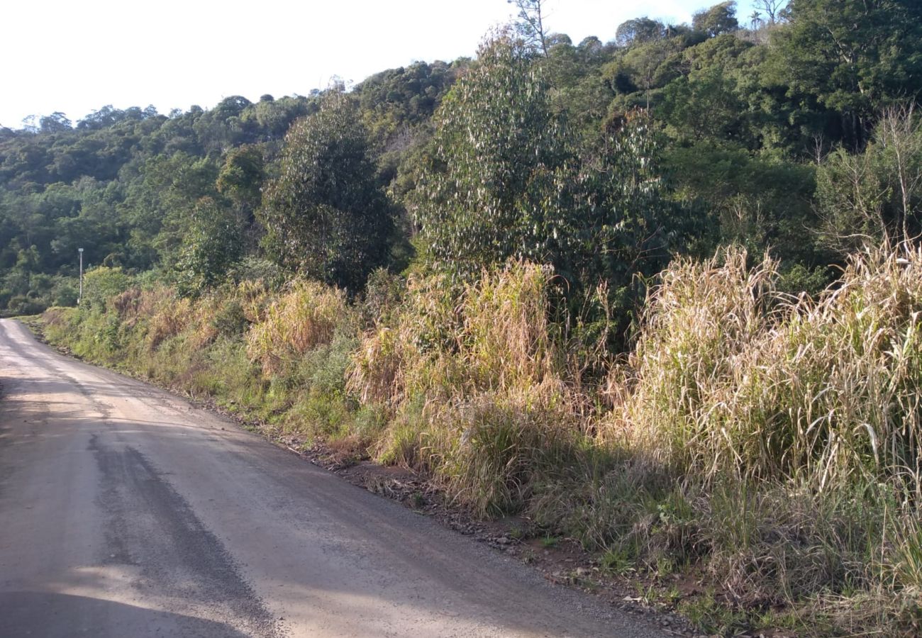 Fazenda em Gramado - ÁREA DE TERRAS LINHA BOA VISTA DO HERVAL  REF 5607