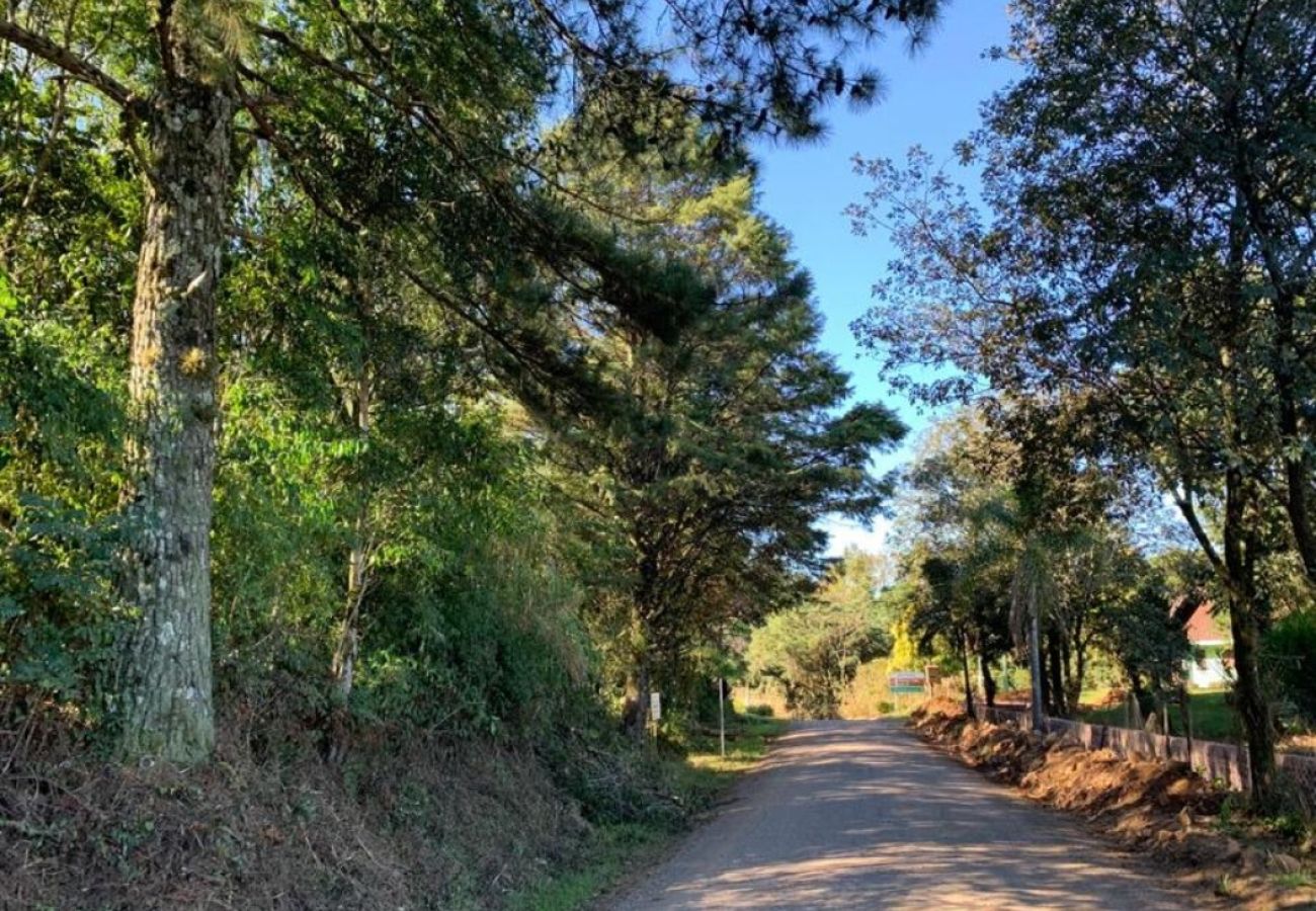 Fazenda em Gramado - Área de terras Várzea Grande - REF 531602