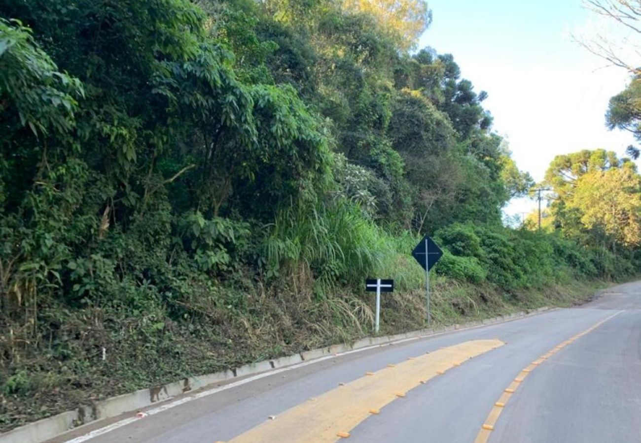 Fazenda em Gramado - Área de terras Várzea Grande - REF 531602