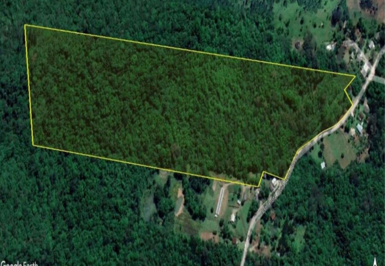 Fazenda em Gramado - Área de terras Várzea Grande - REF 531602