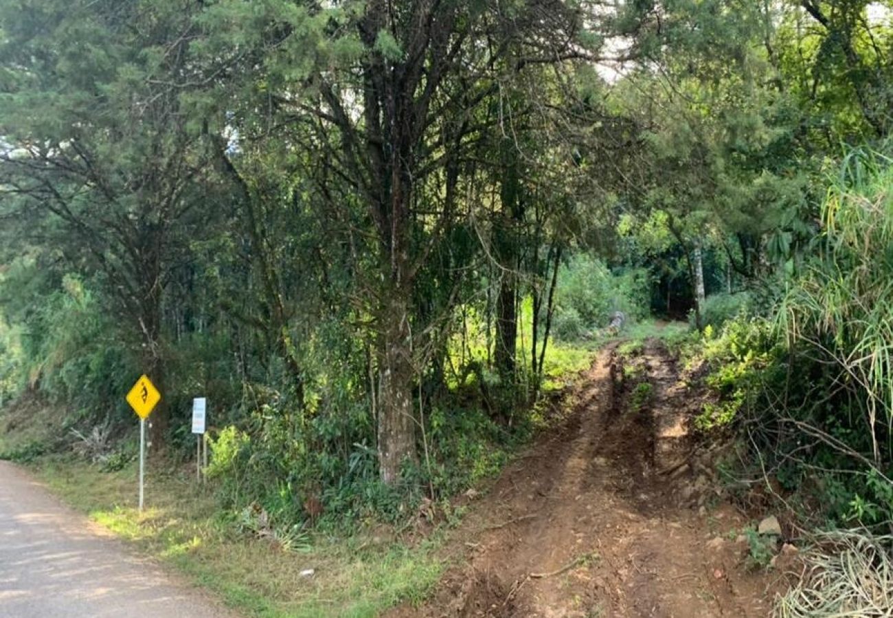 Fazenda em Gramado - Área de terras Várzea Grande - REF 531602