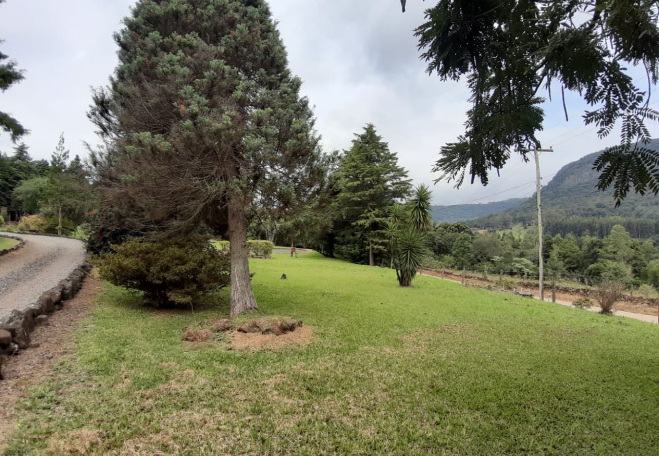 Fazenda em Gramado - Área de terras linha 28 - Gramado (REF 528638)