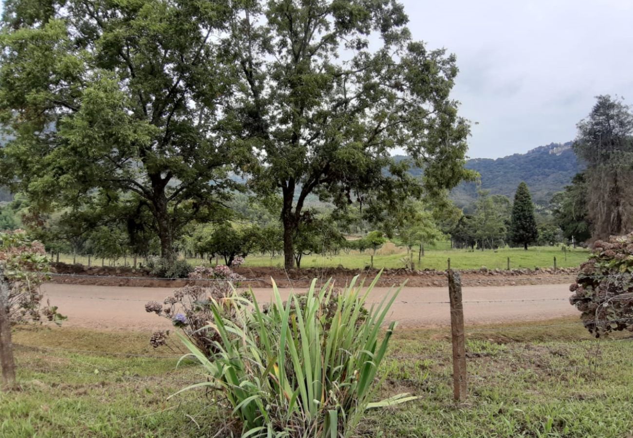 Fazenda em Gramado - Área de terras linha 28 - Gramado (REF 528638)