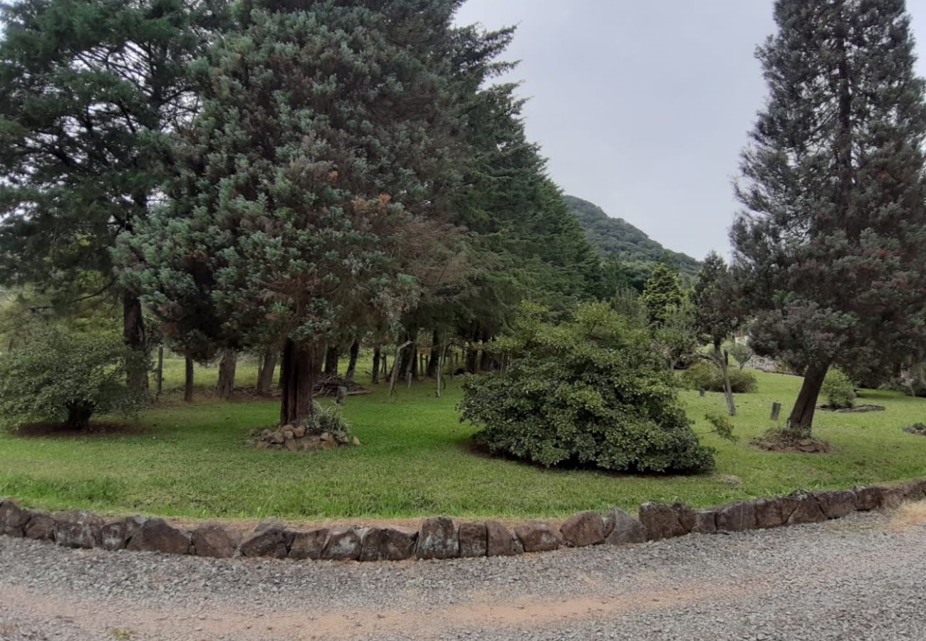 Fazenda em Gramado - Área de terras linha 28 - Gramado (REF 528638)