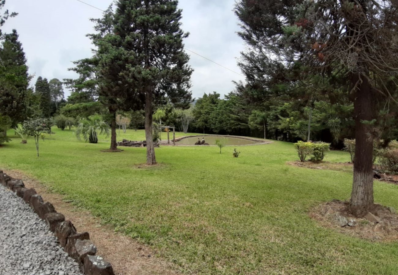 Fazenda em Gramado - Área de terras linha 28 - Gramado (REF 528638)