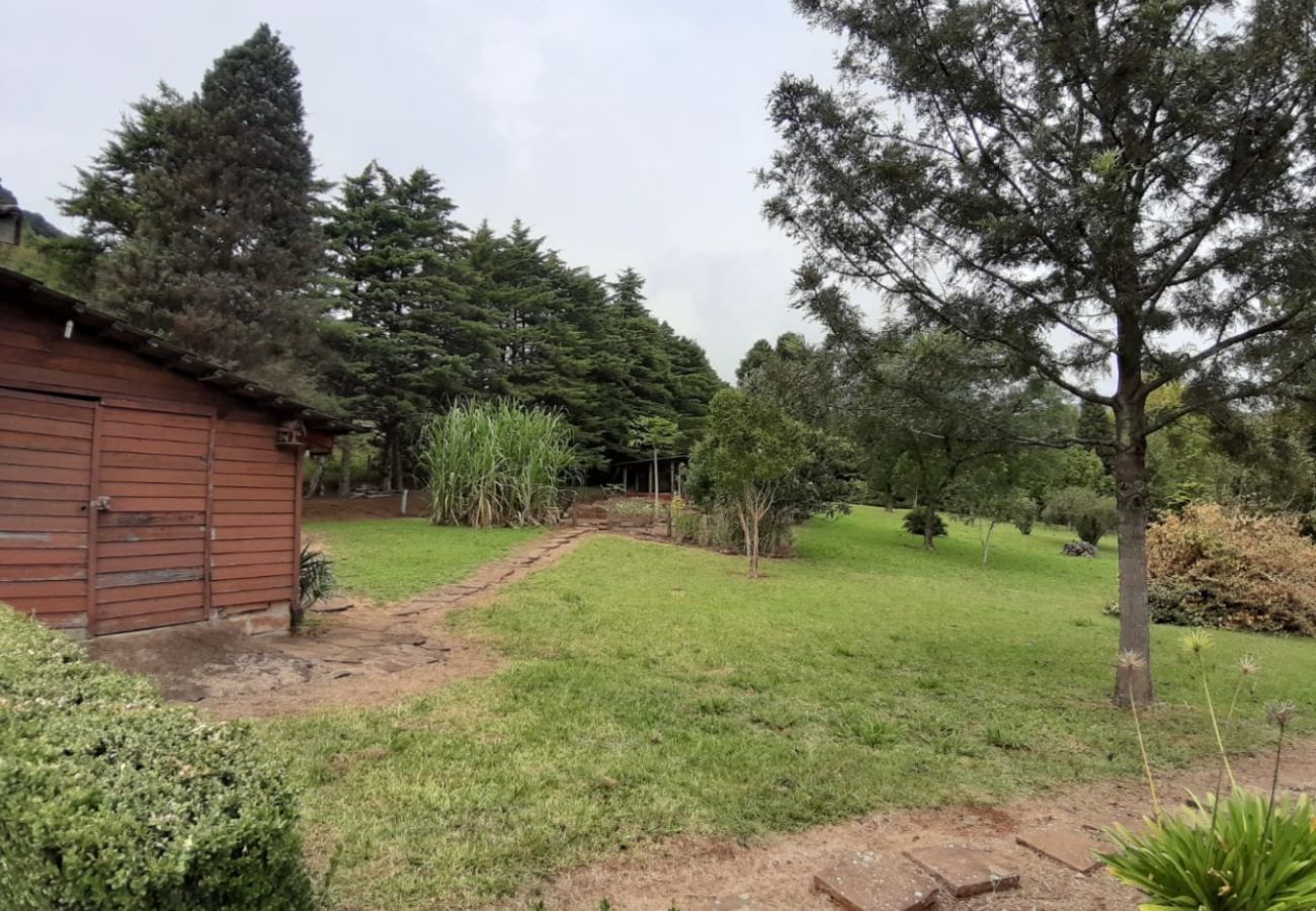 Fazenda em Gramado - Área de terras linha 28 - Gramado (REF 528638)