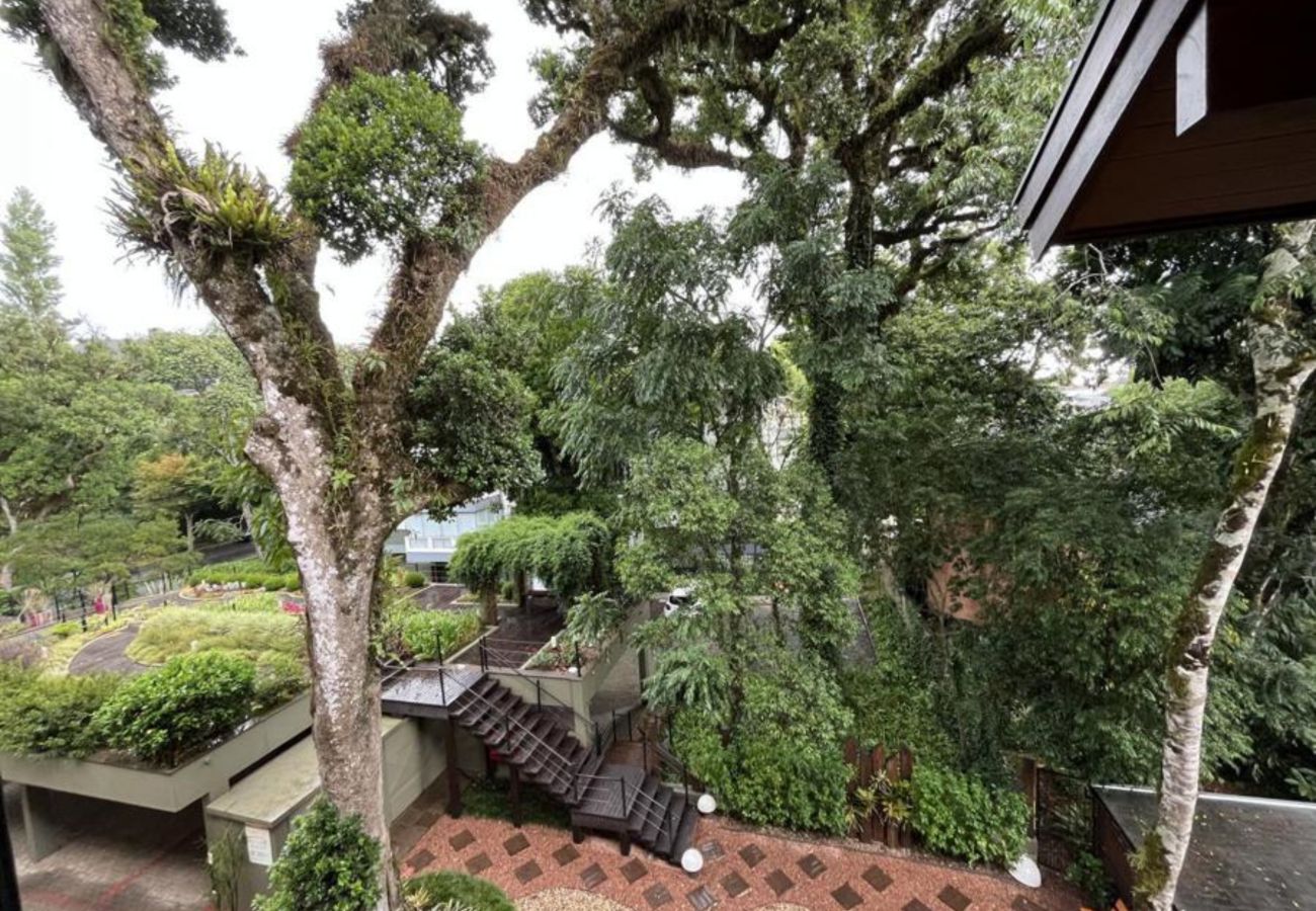Apartamento em Gramado - Apto Oviedo REF 547159