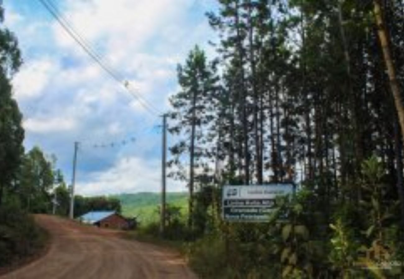 Fazenda em Gramado - Sítio Linha Ávila REF 555330