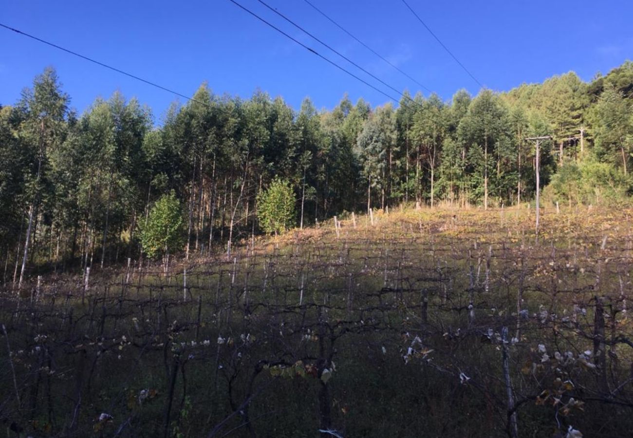 Fazenda em Gramado - Área de terras Linha Bonita REF 539526