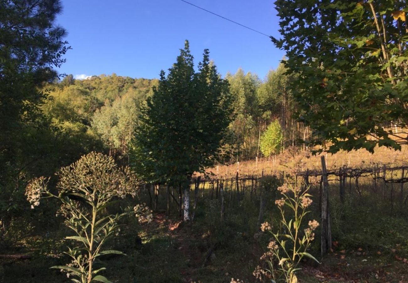 Fazenda em Gramado - Área de terras Linha Bonita REF 539526