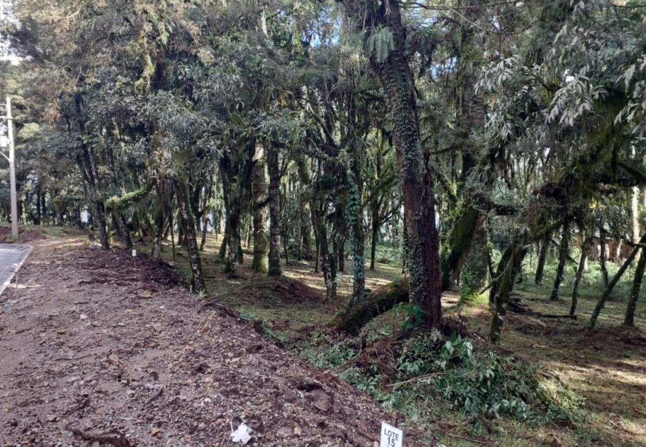 Fazenda em Canela - TERRENOS LOT LEAL E HASS REF 585227
