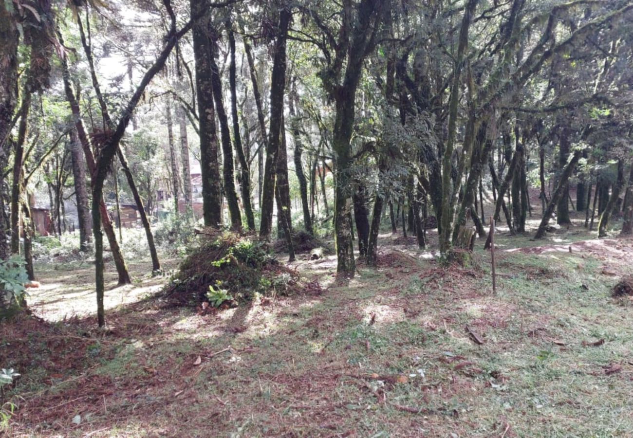 Fazenda em Canela - TERRENOS LOT LEAL E HASS REF 585227