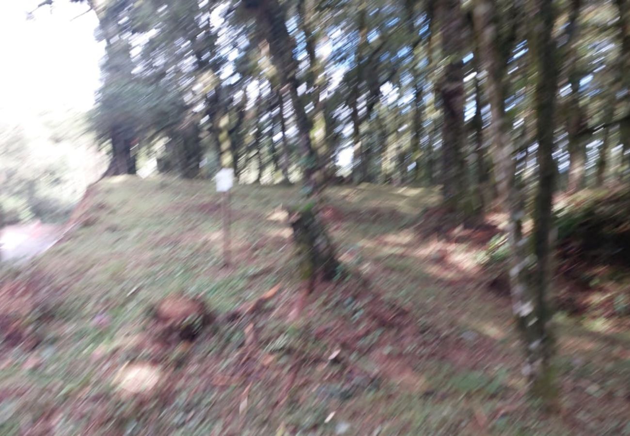 Fazenda em Canela - TERRENOS LOT LEAL E HASS REF 585227