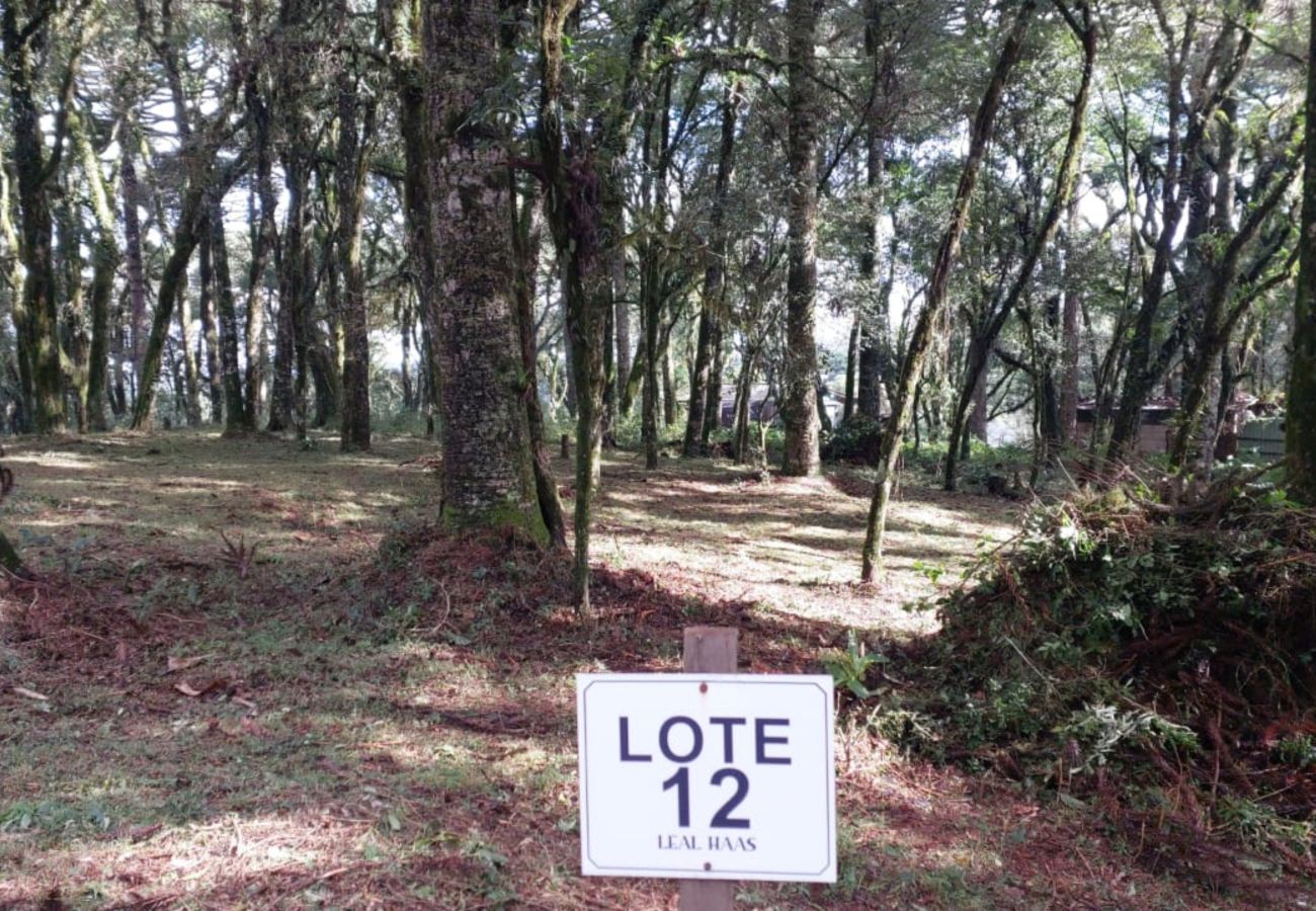 Fazenda em Canela - TERRENOS LOT LEAL E HASS REF 585227