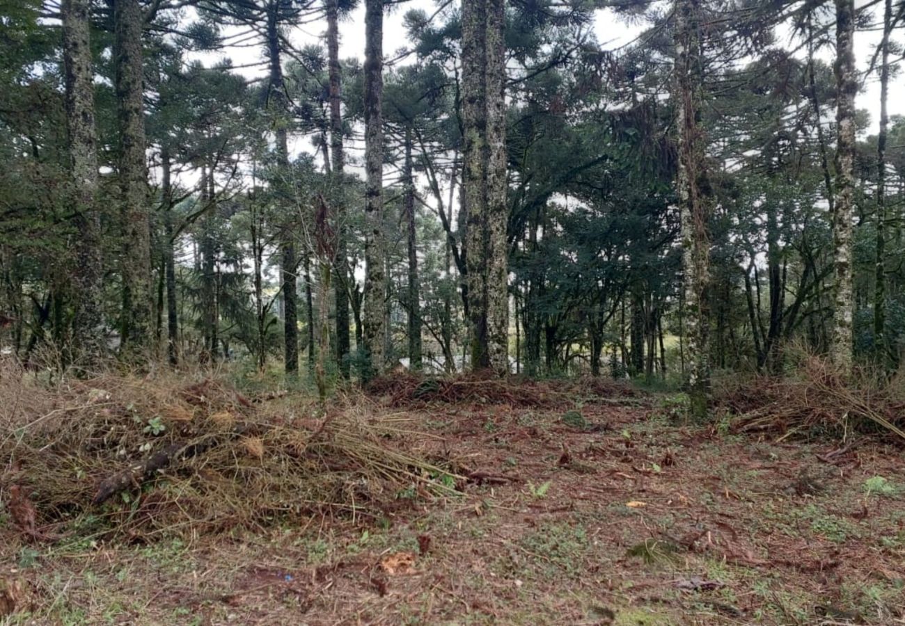 Fazenda em Canela - TERRENOS LOT LEAL E HASS REF 585227