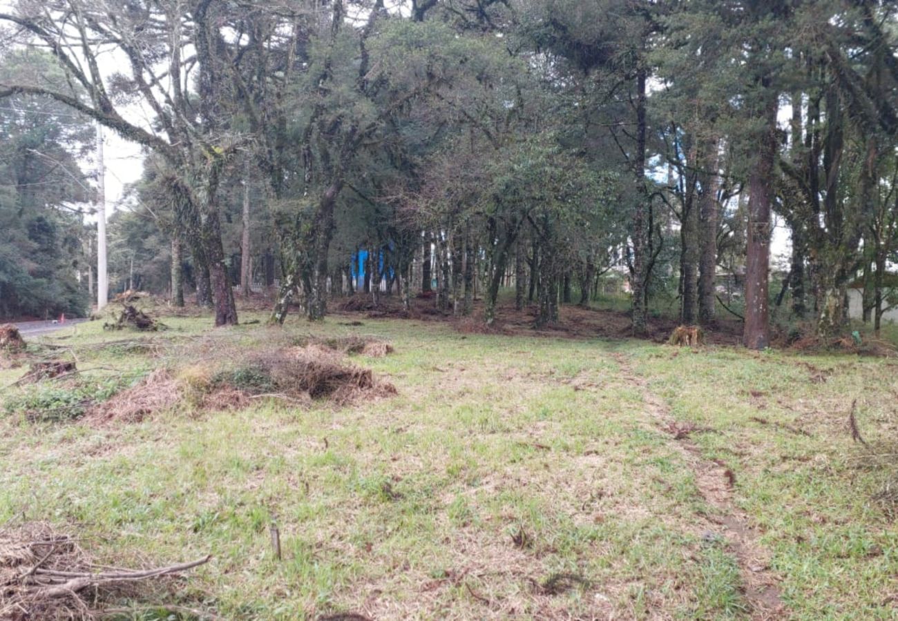 Fazenda em Canela - TERRENOS LOT LEAL E HASS REF 585227