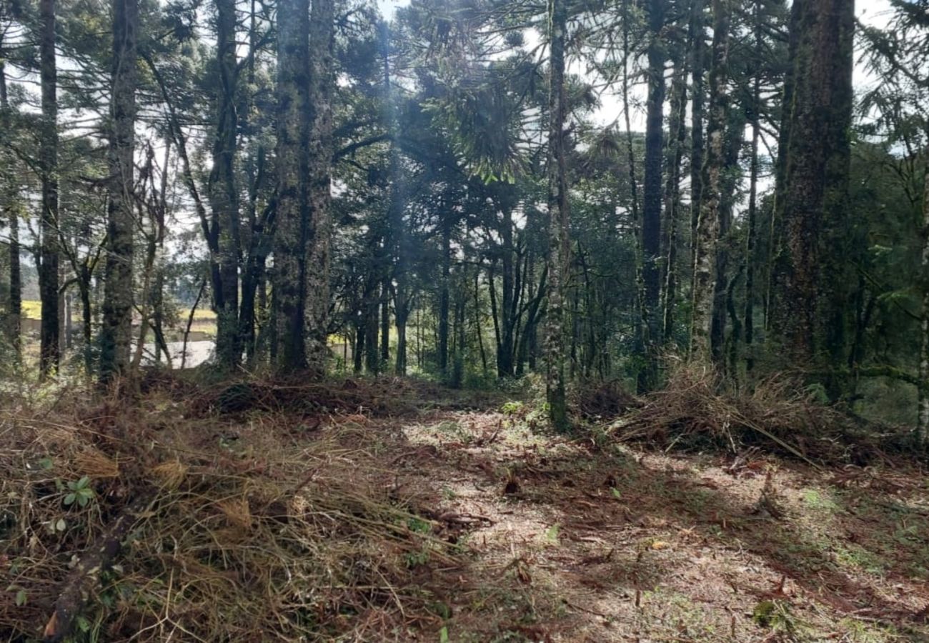 Fazenda em Canela - TERRENOS LOT LEAL E HASS REF 585227