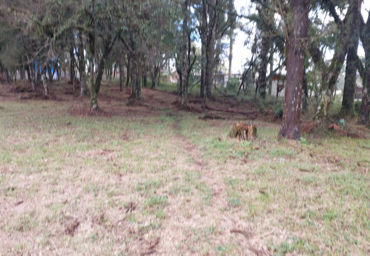 Fazenda em Canela - TERRENOS LOT LEAL E HASS REF 585227