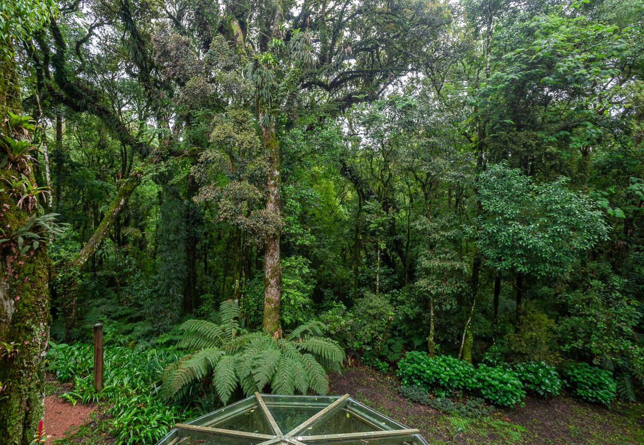 Casa em Gramado - CASA 3 DORM COND O BOSQUE REF 586157