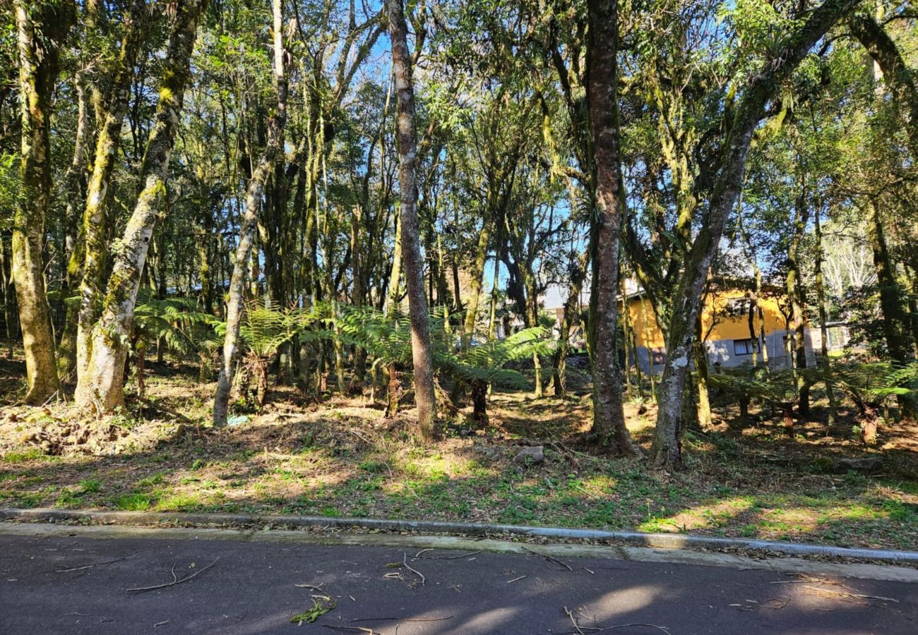 Garagem/parque de estacionamento em Gramado - TERRENO L3 VIVENDAS DO PARQUE REF 594264