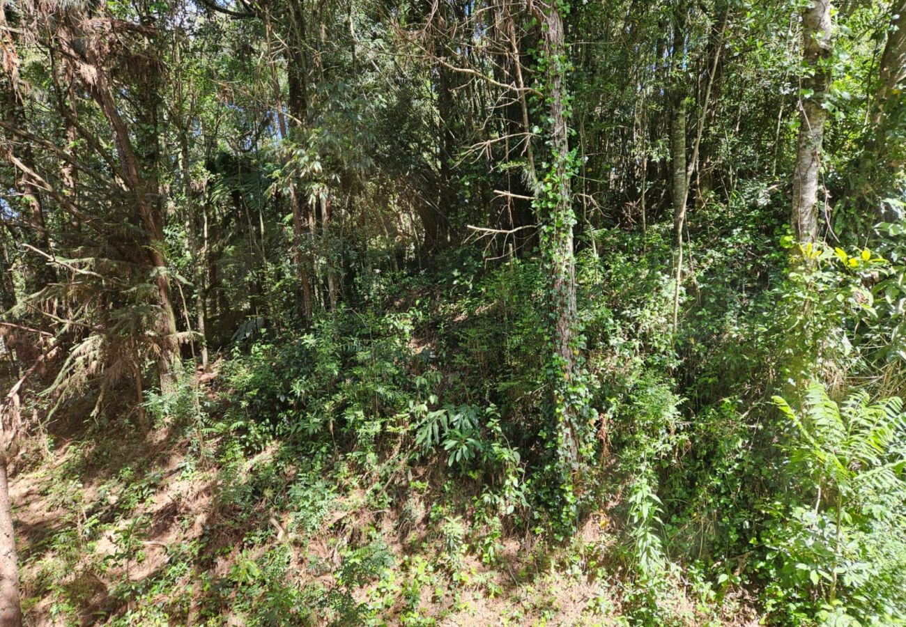 Apartamento em Gramado - APTO 3 SUÍTES COM VISTA PRIVILEGIADA  REF 673088